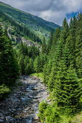 Fototapeta na wymiar Mountain stream next to Transfagarasan Road in Carpathian Mountains, Romania