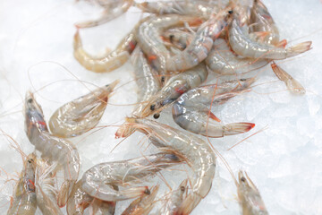 Shrimps on the ice
