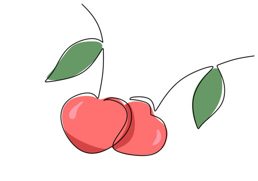 Cherry continuous one line drawing, fruit vector illustration.