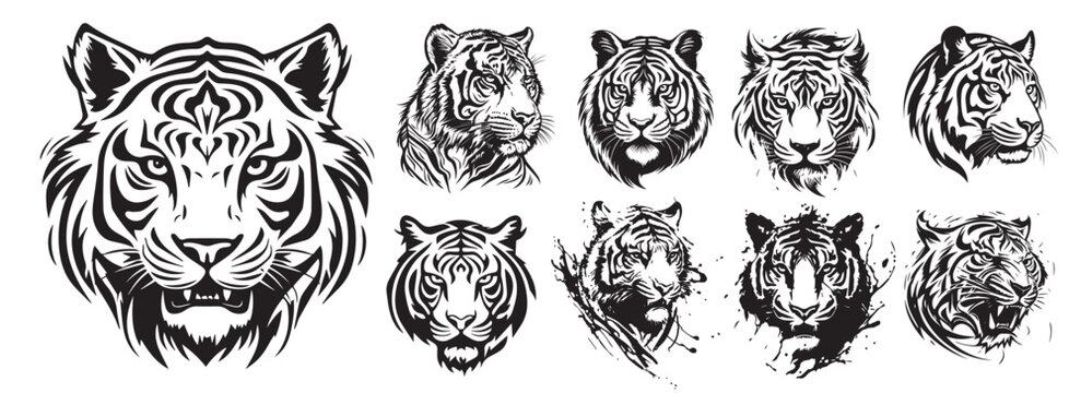 How To Draw A Tiger Tattoo Design, Tiger Tattoo Design, Step by Step,  Drawing Guide, by Dawn - DragoArt