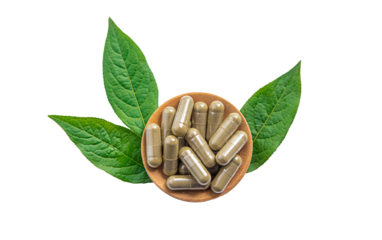 Herb supplement capsules on green leaf isolate on white background. Selective focus.