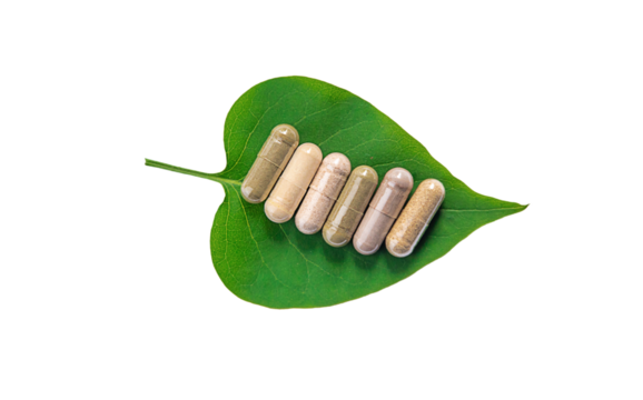 Herb supplement capsules on green leaf isolate on white background. Selective focus.
