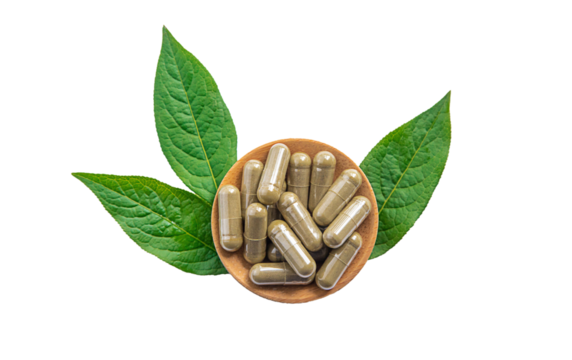 Herb supplement capsules on green leaf isolate on white background. Selective focus.