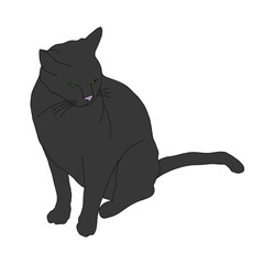 Black cat silhouette, isolate on white background. Icon vector Illustration