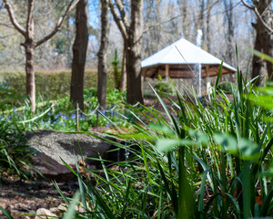 Gazebo structure in a garden for public gathering