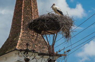 Stork nest in front of Church of Holy Trinity in Sibiel, Transylvania region in Romania