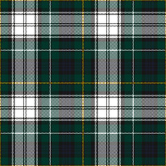 Campbell dress modern tartan plaid. Scottish pattern fabric swatch close-up. 