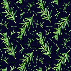 Watercolor seamless pattern with rosemary Rosmarinus officinalis herb Botanical illustration for wrapping textile fabric