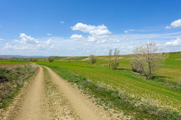 wild life path, land road stabilized road, nature and curvy country road,