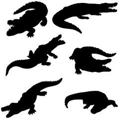 crocodile silhouette
