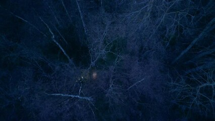 Scared people running through spooky forest with flashlights. Topdown aerial