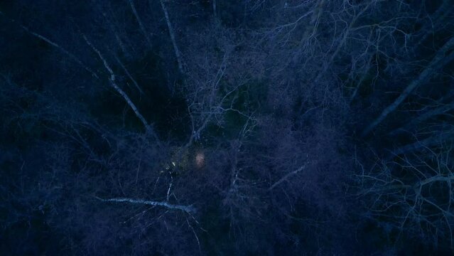 Scared people running through spooky forest with flashlights. Topdown aerial
