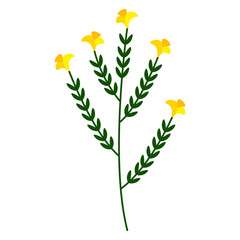 Spring Flower Illustration