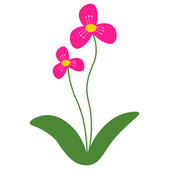 Spring Flower Illustration