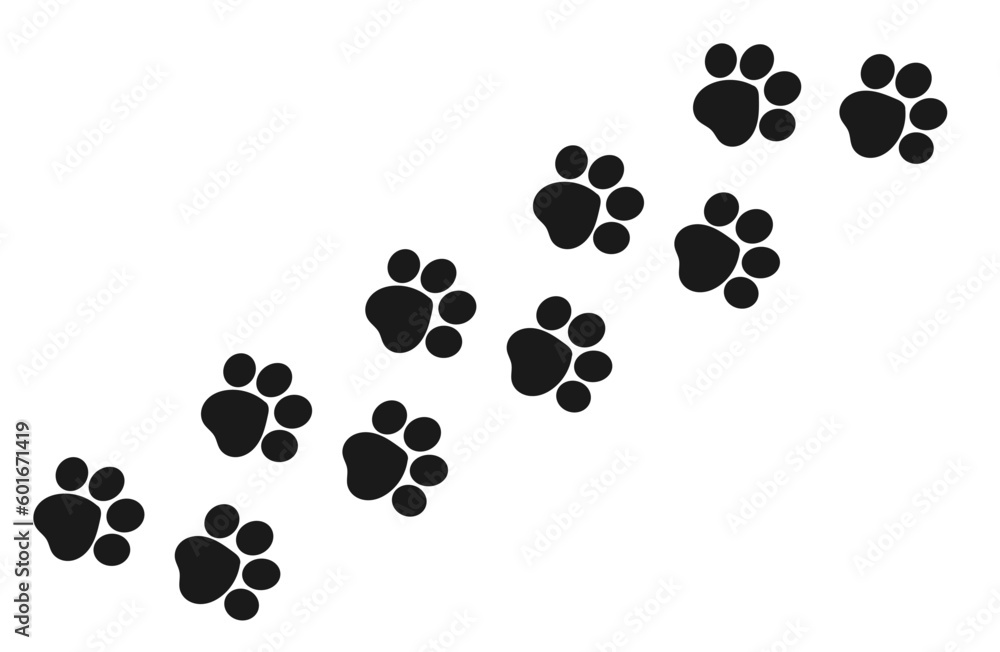 Canvas Prints paw prints trail of a cat isolated on white background.