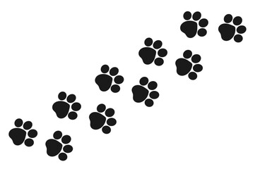 Paw prints trail of a cat isolated on white background.