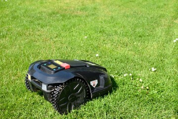 robot mower on green grass