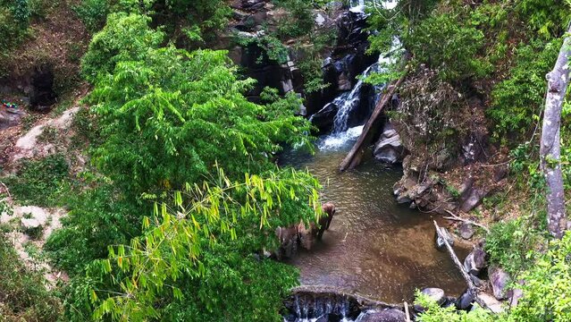 Asian elephants playfully bathing in jungle waterfall pool in Thailand.