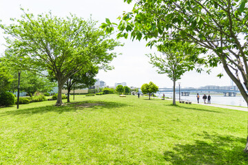 Fototapeta na wymiar 「ららぽーと豊洲」に隣接する「春海橋公園」