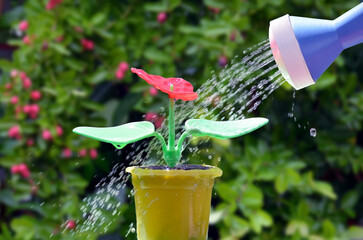 Watering plastic plant, illustrating idea of useless attempt