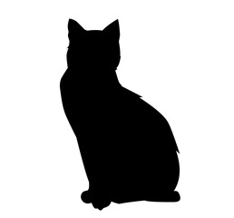 black and white cat sitting silhouette