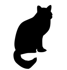 black cat silhouette isolated on white