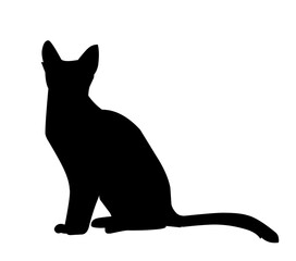  cat silhouette