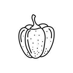 peppers. Vector illustration of sweet pepper. Hand drawn pepper. Sketch paprika. pepper line art