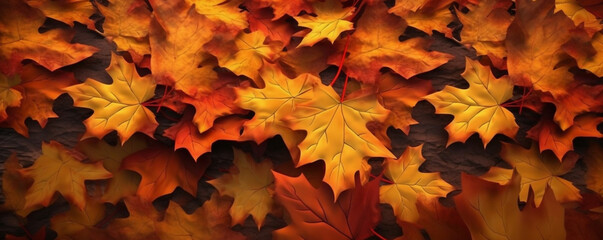 Naklejka na ściany i meble autumn leaves background . Generative Ai