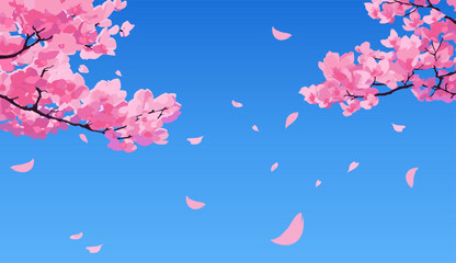 Pink sakura branch with petals falling against bright blue sky background. © Natalia