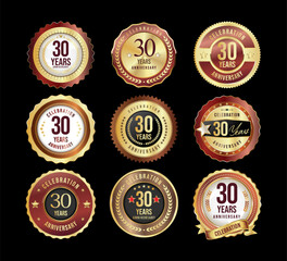 Collection of golden anniversary badge and labels vector illustration  