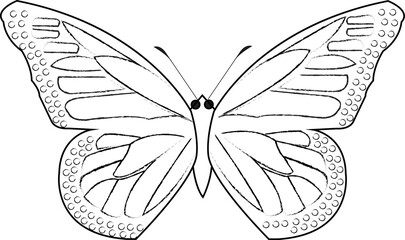 Butterfly coloring page for children and adults. Hand drawing vector illustration in black outline on a white background.