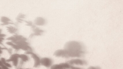 Shadow of leaves on a pink wall