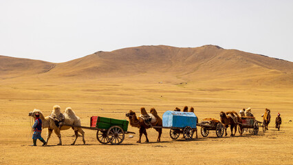 Mongolia / nomad / caravan / camel