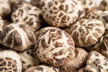 Dried shiitake mushroom isolated on white background with clipping path, healthy food.