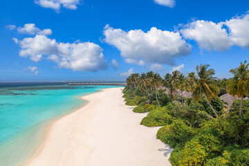 Best dream vacation pristine sandy shore with coconut palm trees, calm blue turquoise sea, sunny sky and tropical coastline. Aerial travel landscape. Exotic coast in Maldives islands, colorful nature