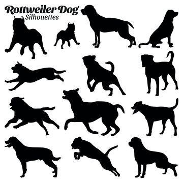 Rottweiler dog silhouette vector illustration set.