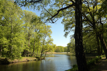 volkspark jungfernheide