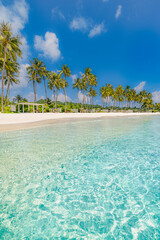 Maldives island beach. Tropical landscape of summer scenery, white sand with palm trees. Luxury travel vacation destination. Exotic beach landscape. Amazing nature, relax, freedom nature resort coast
