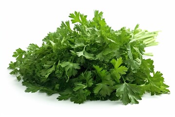 parsley isolated on white