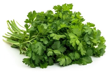 parsley isolated on white