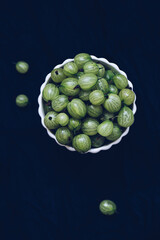 Gooseberry Harvest, a crop of ripe gooseberries. Fresh gooseberries dark background.