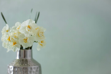 Still life with fresh flowers in vase
