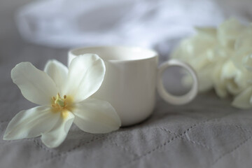 Fototapeta na wymiar A cup of aromatic coffee and flowers