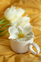 Fototapeta na wymiar A cup of aromatic coffee and flowers