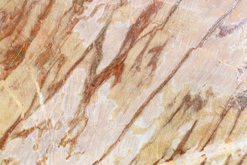 The texture of the light yellow marble with the brown veining pattern clearly visible.