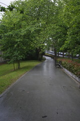 path in the park