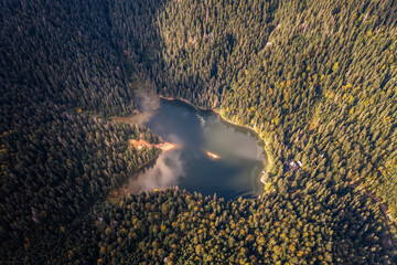 Aerial view of wild lake in summer mountains. Lake surrounded by dense forest. Landscape photography