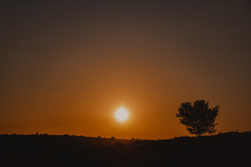 Fototapeta na wymiar scorching sun landscape at dusk