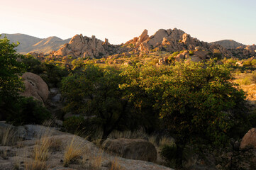 Texas Canyon Sonora Desert Arizona